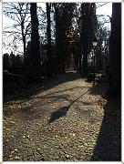 2011-11-04 11.51.24